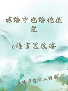 嫁给中也给他植发