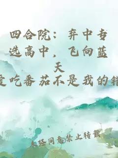 四合院：弃中专选高中，飞向蓝天