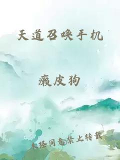 天道召唤手机