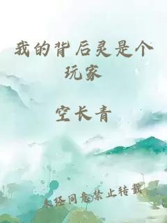 我的背后灵是个玩家