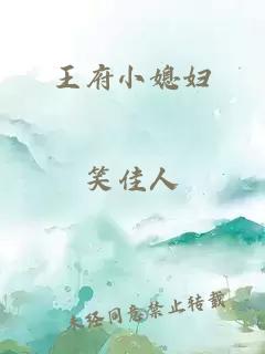 王府小媳妇