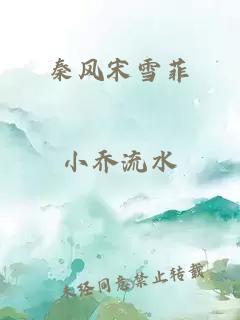 秦风宋雪菲