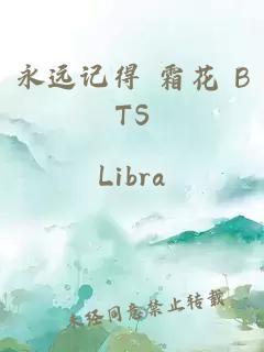 永远记得 霜花 BTS
