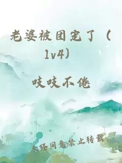 老婆被团宠了（1v4）