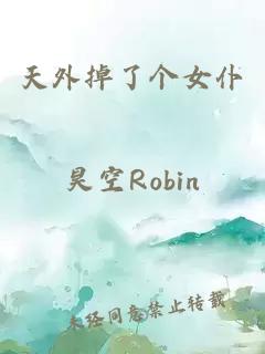 天外掉了个女仆