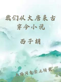 我们从大唐来古穿今小说