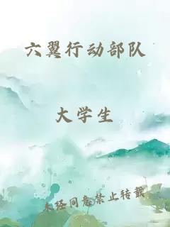 六翼行动部队