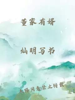 董家有婿