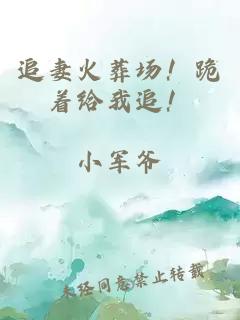 追妻火葬场！跪着给我追！