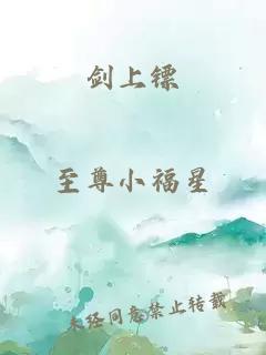 剑上镖