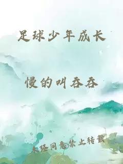足球少年成长