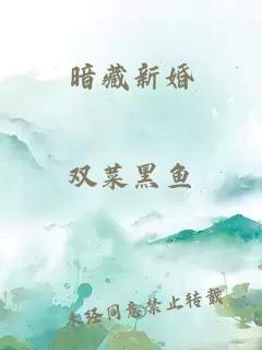 暗藏新婚小说封面 暗藏新婚