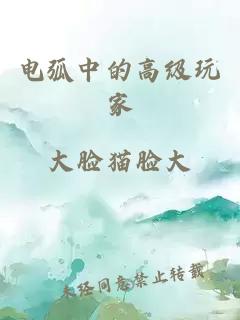 电弧中的高级玩家