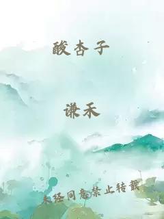 酸杏子