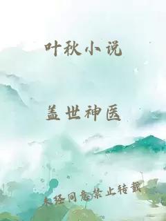 叶秋小说