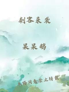 刺客来袭