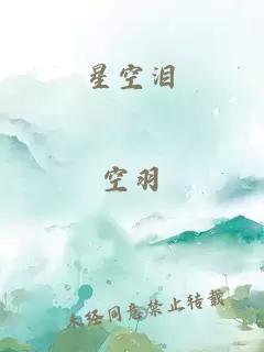 星空泪
