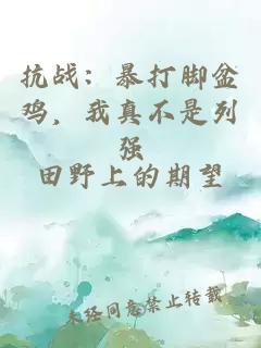 抗战：暴打脚盆鸡，我真不是列强