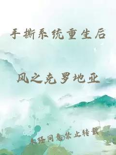手撕系统重生后