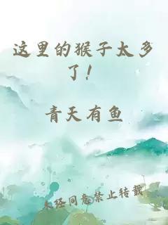 这里的猴子太多了！