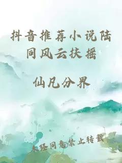 抖音推荐小说陆同风云扶摇